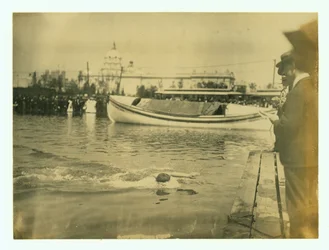 Horizontal Photograph of a Swimmer About to Reach the Finish Platform